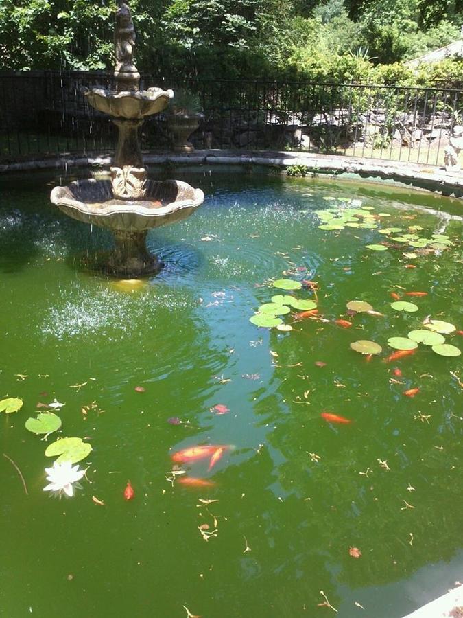 Logis Du Grand Duc Restaurant Gincla